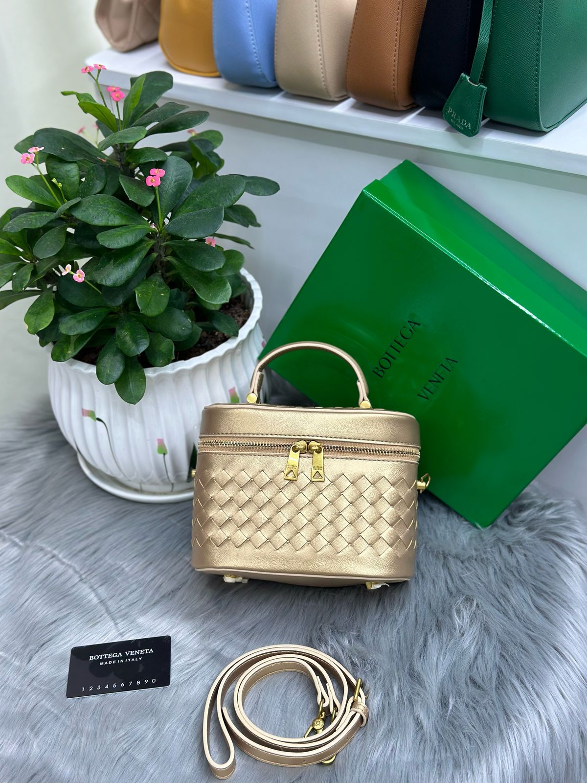 BOTEGA